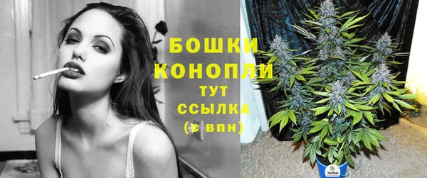 прущие крисы Нефтекумск
