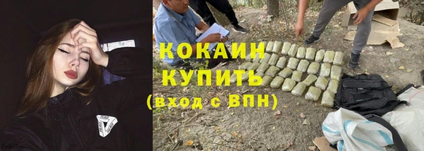 PSILOCYBIN Нефтегорск