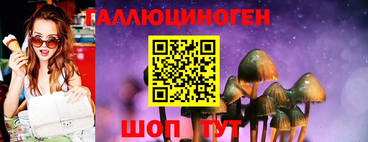 Галлюциногенные грибы ЛСД  Псилоцибиновые грибы мицелий  Вход с VPN  Уссурийск 