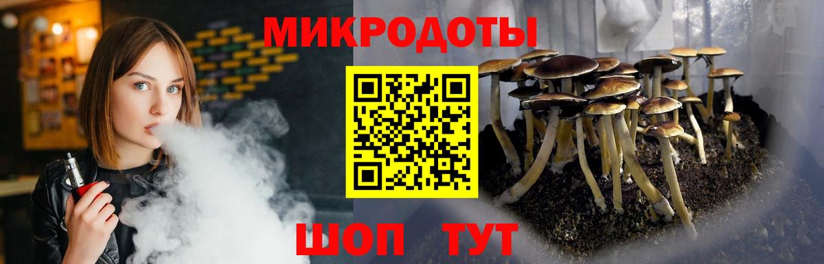 Галлюциногенные грибы Psilocybe Уссурийск